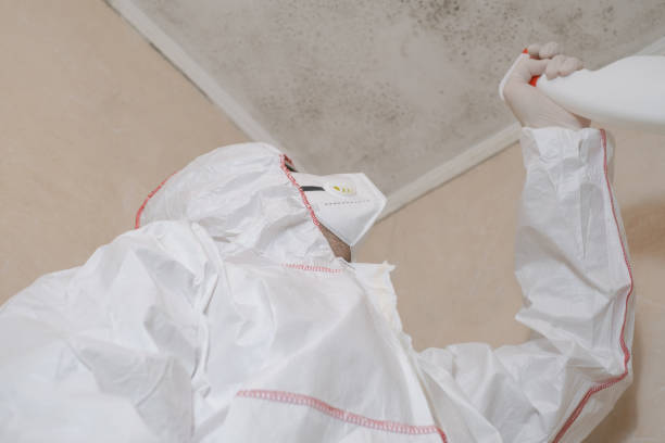 Best Mold Remediation for Specific Building Types in Jekyll Island, GA